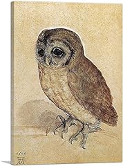 Artcanvas little owl for sale  Delivered anywhere in USA 