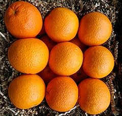 Organic navel oranges for sale  Delivered anywhere in USA 