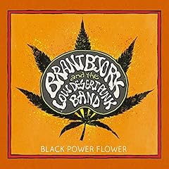 Black power flower d'occasion  Livré partout en France