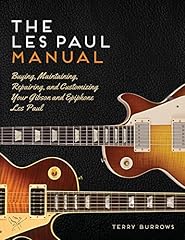 epiphone paul standard d'occasion  Livré partout en France