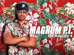 Magnum usato  Spedito ovunque in Italia 