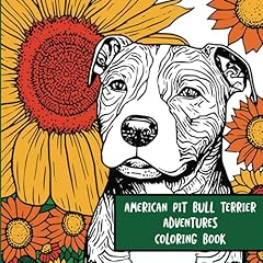 American pit bull for sale  Delivered anywhere in USA 