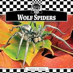 Wolf spiders for sale  Delivered anywhere in UK