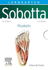 Sobotta lernkarten muskeln gebraucht kaufen  Wird an jeden Ort in Deutschland