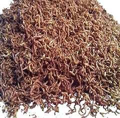 Bloodworms freeze dried for sale  Delivered anywhere in USA 