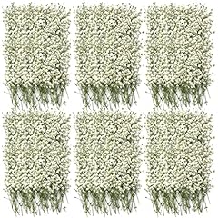 300 pcs dried for sale  Delivered anywhere in USA 