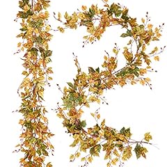 Pack fall maple for sale  Delivered anywhere in USA 