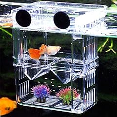 Aquarium fish breeding for sale  Delivered anywhere in Ireland