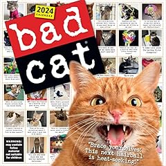 Bad cat wall for sale  Delivered anywhere in USA 