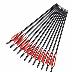 Bgary carbon arrow for sale  Delivered anywhere in USA 