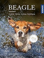 Beagle geschichte haltung gebraucht kaufen  Wird an jeden Ort in Deutschland