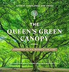 Queen green canopy for sale  Delivered anywhere in UK