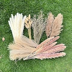 100pcs pampas grass for sale  Delivered anywhere in USA 