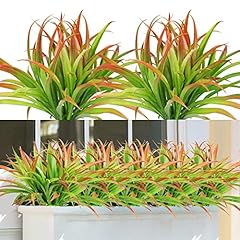 Dremisland lot plantes d'occasion  Livré partout en Belgiqu