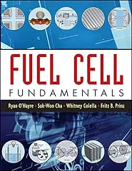 Fuel cell fundamentals for sale  Delivered anywhere in UK