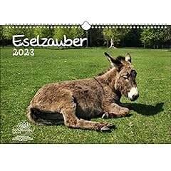 Eselzauber din kalender gebraucht kaufen  Wird an jeden Ort in Deutschland