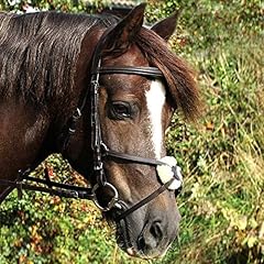 Gallop grackle bridle for sale  Delivered anywhere in UK