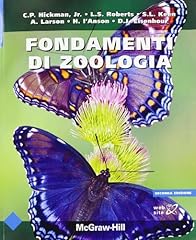 Fondamenti zoologia usato  Spedito ovunque in Italia 
