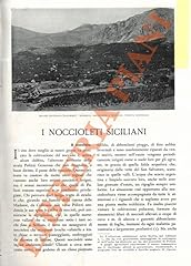I noccioleti siciliani. usato  Spedito ovunque in Italia 