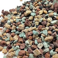 Fantian lbs succulent for sale  Delivered anywhere in USA 