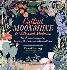 Cattail moonshine milkweed for sale  Delivered anywhere in USA 
