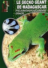 Gecko géant madagascar d'occasion  Livré partout en Belgiqu