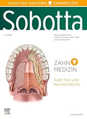 Sobotta atlas anatomie gebraucht kaufen  Wird an jeden Ort in Deutschland