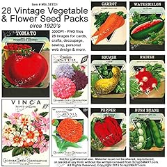 Scrapsmart vintage vegetable for sale  Delivered anywhere in USA 