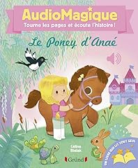 Audiomagique poney anaé d'occasion  Livré partout en France