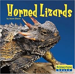 Horned lizards for sale  Delivered anywhere in USA 