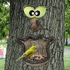 Alladinbox bird feeder for sale  Delivered anywhere in USA 