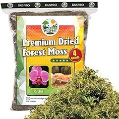 Duspro dried forest for sale  Delivered anywhere in UK