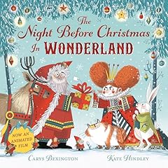 Night christmas wonderland for sale  Delivered anywhere in UK