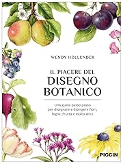 Piacere del disegno usato  Spedito ovunque in Italia 
