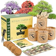 Bonsai tree kit for sale  Delivered anywhere in USA 