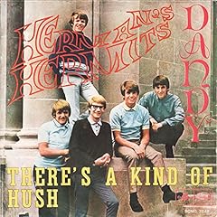 Herman hermits there usato  Spedito ovunque in Italia 