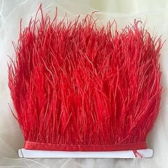 Colours quality ostrich for sale  Delivered anywhere in UK