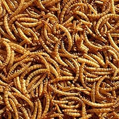 Premium dried mealworms for sale  Delivered anywhere in UK