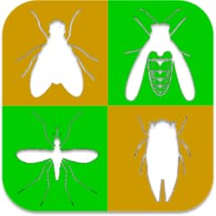 Real insect sounds for sale  Delivered anywhere in UK