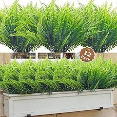 Dremisland lot plantes d'occasion  Livré partout en Belgiqu