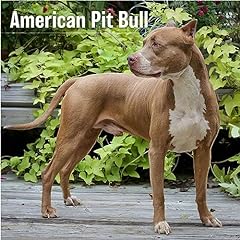 Megacalendars american pitbull for sale  Delivered anywhere in USA 