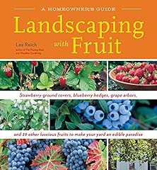 Landscaping fruit strawberry for sale  Delivered anywhere in USA 