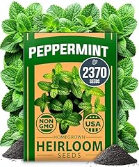 Home grown peppermint for sale  Delivered anywhere in USA 