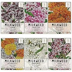 Seed needs milkweed for sale  Delivered anywhere in USA 