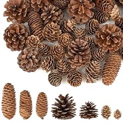 Pcs pine cone for sale  Delivered anywhere in USA 