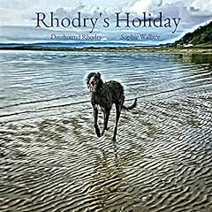 Rhodry holiday for sale  Delivered anywhere in UK