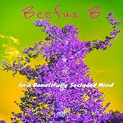 Beautifully secluded mind for sale  Delivered anywhere in USA 