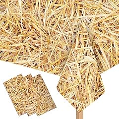 Lanmanuo 3pcs straw for sale  Delivered anywhere in USA 