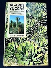 Agaves yuccas related for sale  Delivered anywhere in USA 