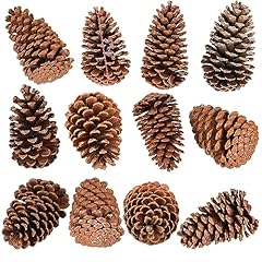 Huwena pcs pinecones for sale  Delivered anywhere in USA 